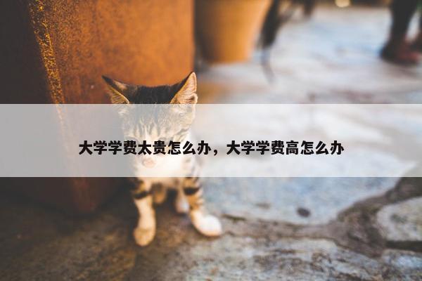 大学学费太贵怎么办，大学学费高怎么办