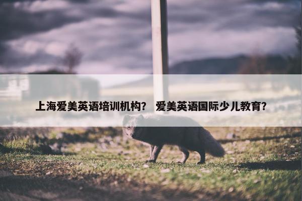 上海爱美英语培训机构？ 爱美英语国际少儿教育？