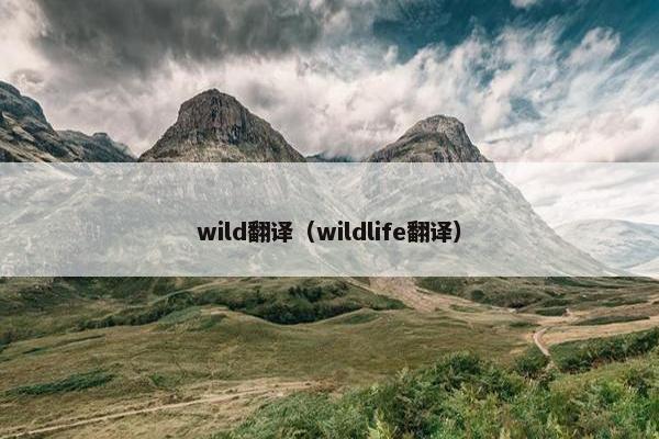 wild翻译（wildlife翻译）