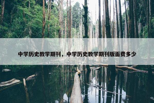 中学历史教学期刊，中学历史教学期刊版面费多少