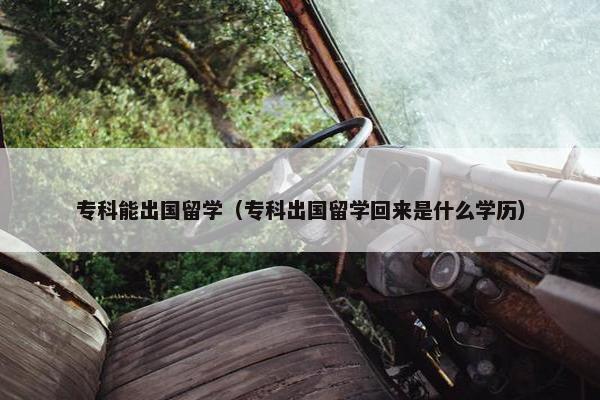 专科能出国留学（专科出国留学回来是什么学历）