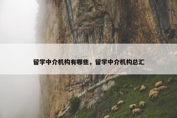 留学中介机构有哪些，留学中介机构总汇