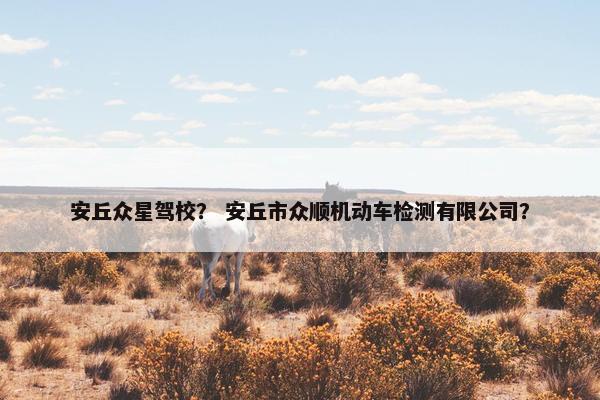 安丘众星驾校？ 安丘市众顺机动车检测有限公司？