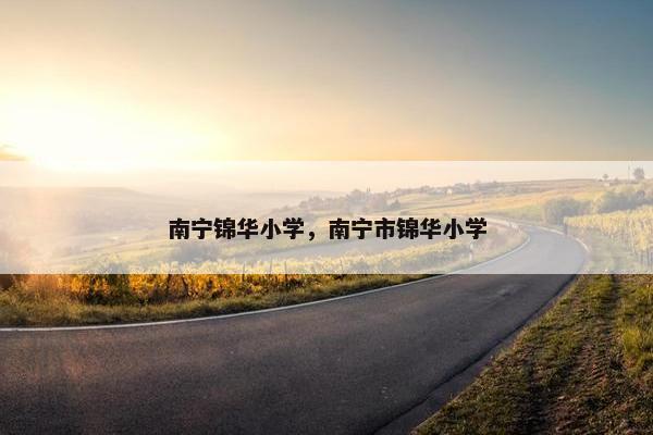 南宁锦华小学，南宁市锦华小学