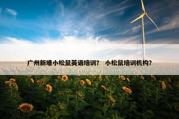 广州新塘小松鼠英语培训？ 小松鼠培训机构？