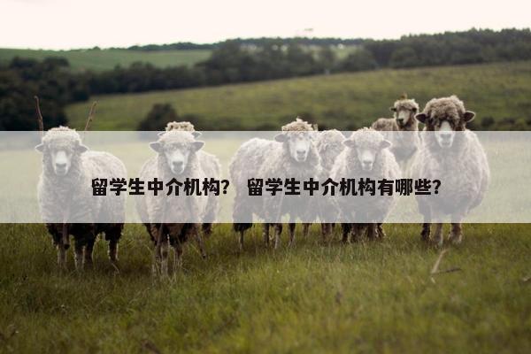留学生中介机构？ 留学生中介机构有哪些？