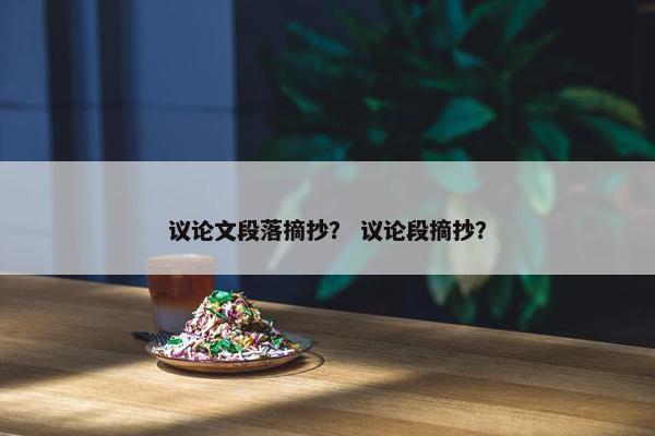 议论文段落摘抄？ 议论段摘抄？