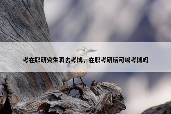 考在职研究生再去考博，在职考研后可以考博吗