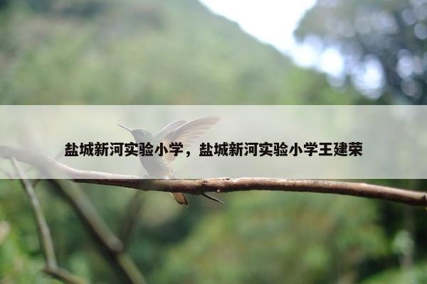 盐城新河实验小学，盐城新河实验小学王建荣