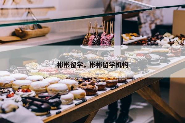彬彬留学，彬彬留学机构