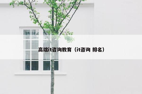 高端it咨询教育（it咨询 排名）