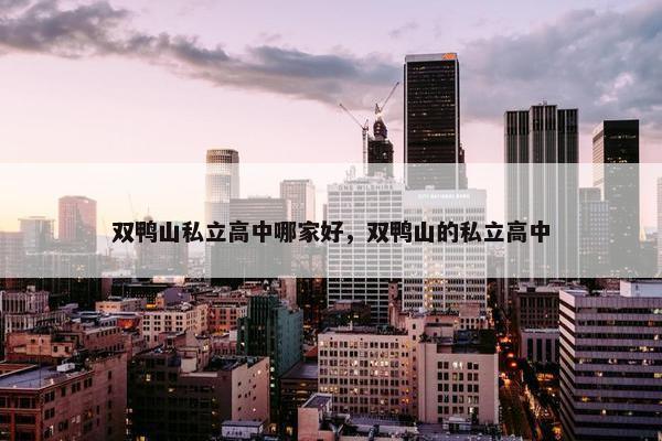 双鸭山私立高中哪家好，双鸭山的私立高中