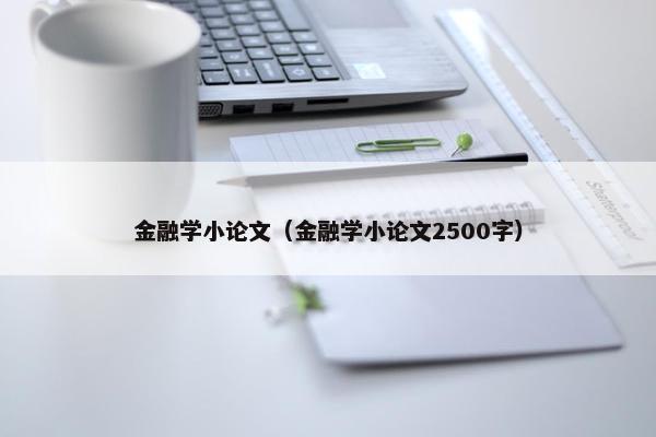 金融学小论文（金融学小论文2500字）