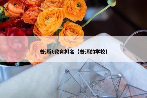 普洱it教育排名（普洱的学校）