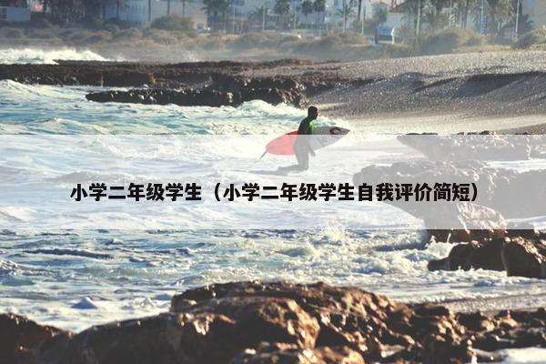 小学二年级学生（小学二年级学生自我评价简短）