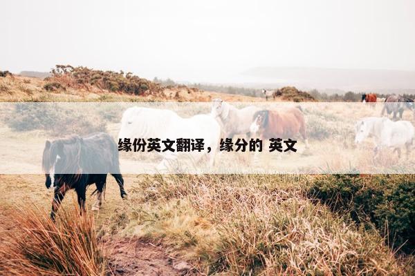 缘份英文翻译，缘分的 英文