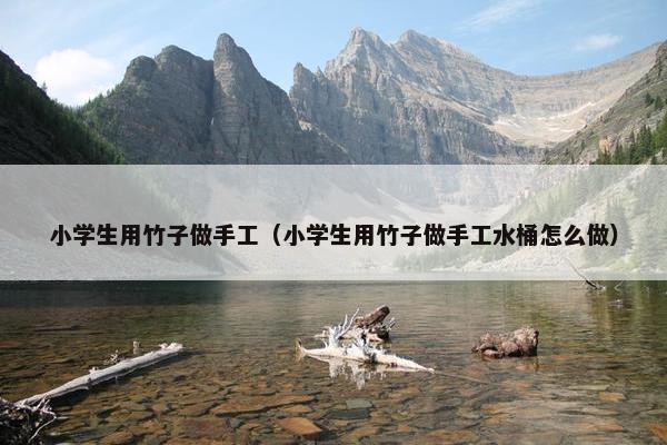 小学生用竹子做手工（小学生用竹子做手工水桶怎么做）