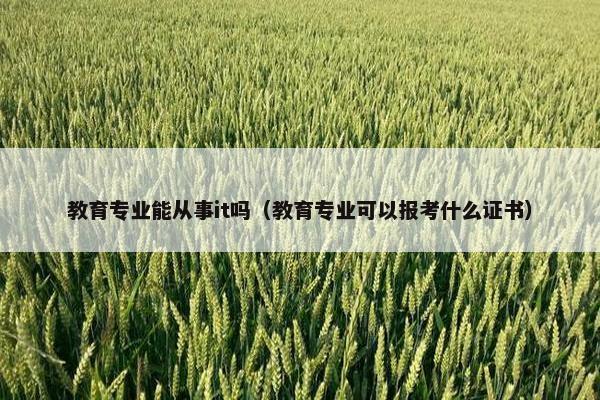教育专业能从事it吗（教育专业可以报考什么证书）