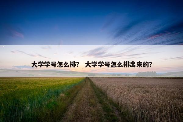 大学学号怎么排？ 大学学号怎么排出来的？