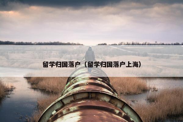 留学归国落户（留学归国落户上海）