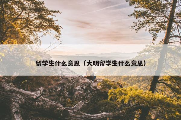 留学生什么意思（大明留学生什么意思）
