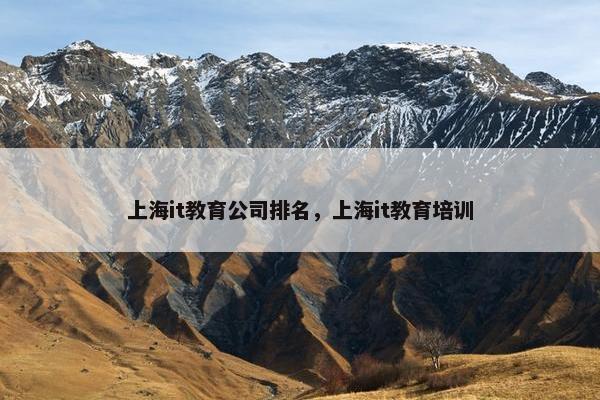 上海it教育公司排名，上海it教育培训