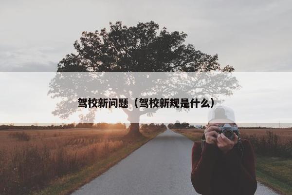 驾校新问题（驾校新规是什么）