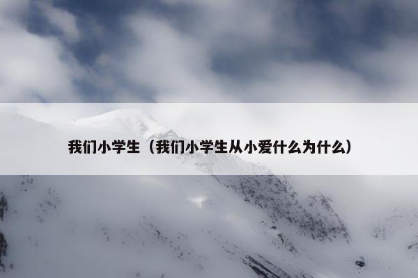 我们小学生（我们小学生从小爱什么为什么）