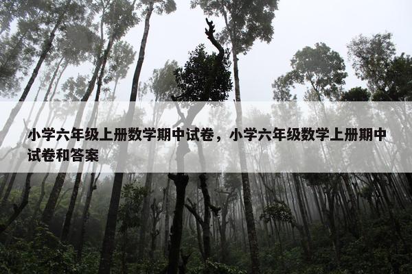 小学六年级上册数学期中试卷，小学六年级数学上册期中试卷和答案