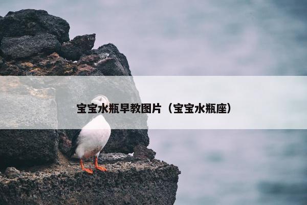 宝宝水瓶早教图片（宝宝水瓶座）