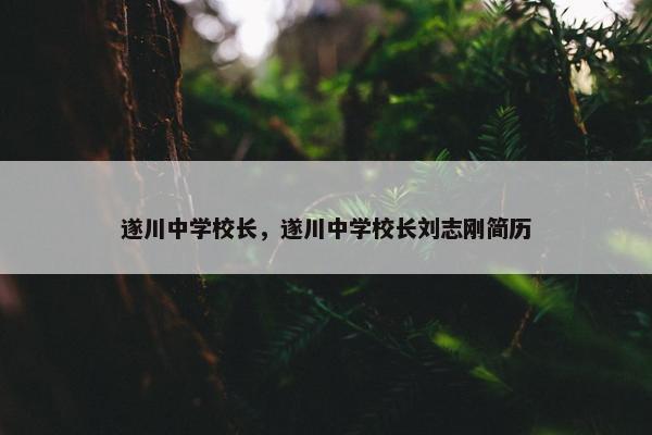 遂川中学校长，遂川中学校长刘志刚简历