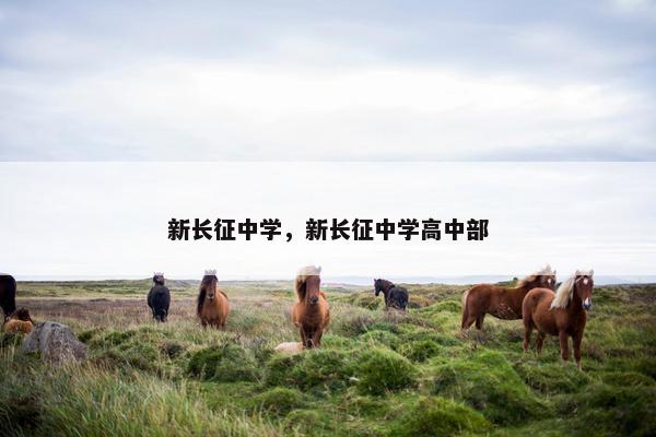 新长征中学，新长征中学高中部