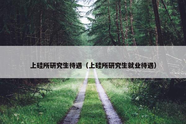 上硅所研究生待遇（上硅所研究生就业待遇）