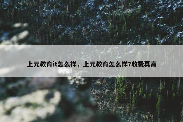 上元教育it怎么样，上元教育怎么样?收费真高
