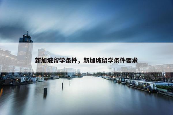 新加坡留学条件，新加坡留学条件要求