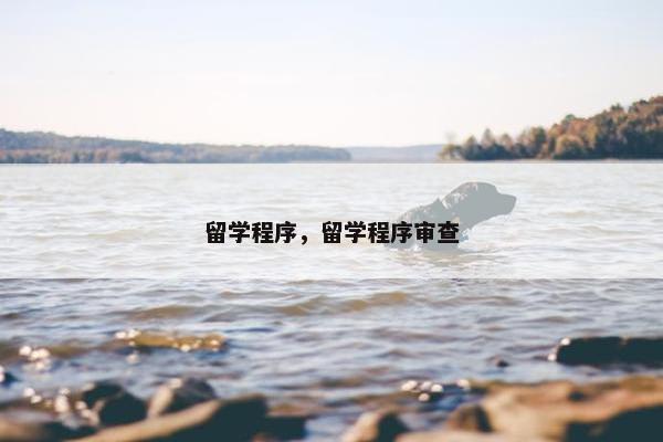留学程序，留学程序审查
