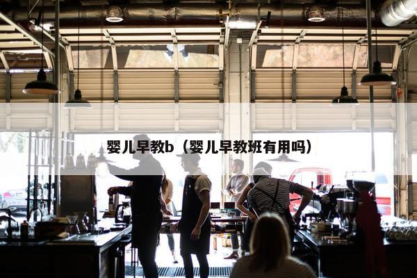 婴儿早教b（婴儿早教班有用吗）