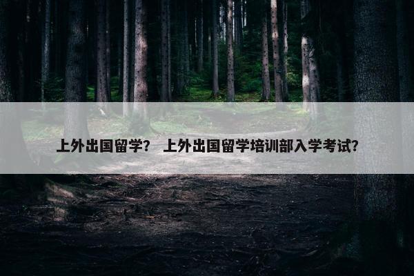 上外出国留学？ 上外出国留学培训部入学考试？