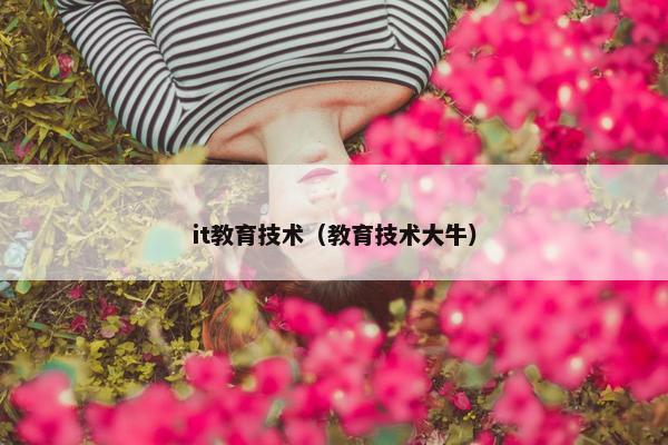 it教育技术（教育技术大牛）