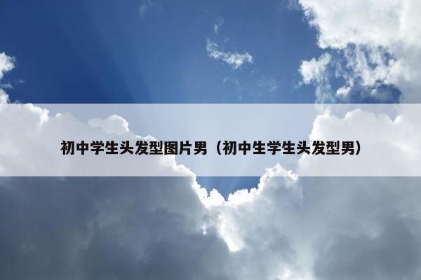 初中学生头发型图片男（初中生学生头发型男）