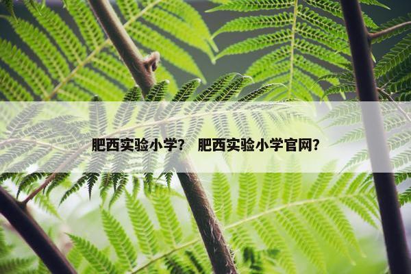 肥西实验小学？ 肥西实验小学官网？
