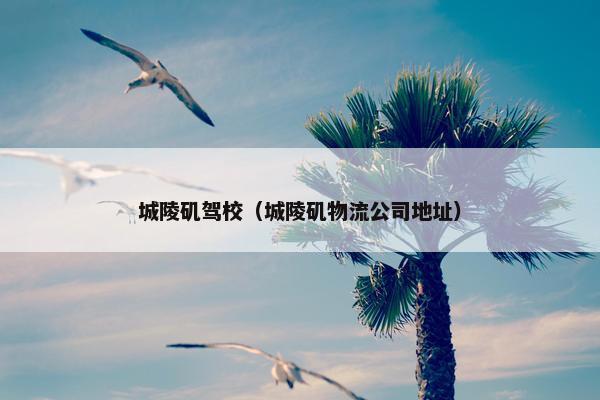 城陵矶驾校（城陵矶物流公司地址）