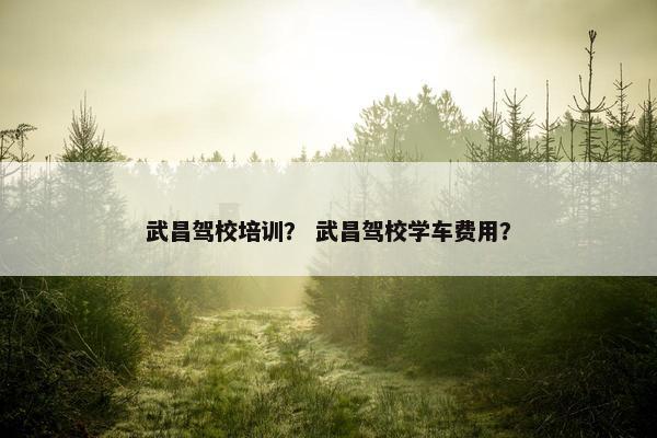 武昌驾校培训？ 武昌驾校学车费用？