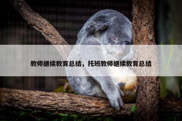 教师继续教育总结，托班教师继续教育总结