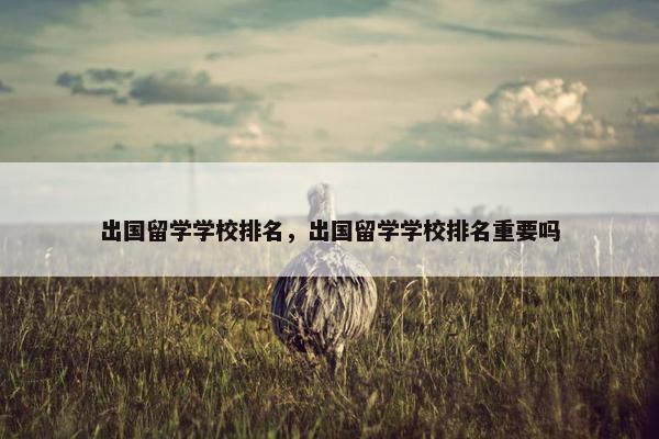 出国留学学校排名，出国留学学校排名重要吗