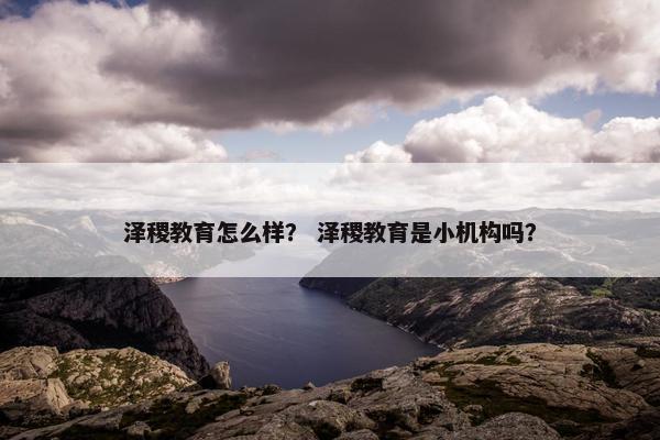 泽稷教育怎么样？ 泽稷教育是小机构吗？