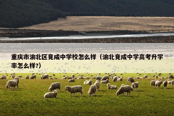 重庆市渝北区竟成中学校怎么样（渝北竟成中学高考升学率怎么样?）