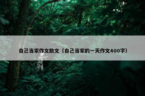 自己当家作文散文（自己当家的一天作文400字）