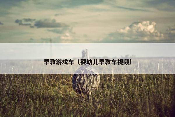 早教游戏车（婴幼儿早教车视频）