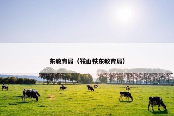 东教育局（鞍山铁东教育局）